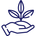 B.Sc Agriculture
